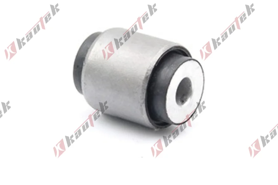 SALINCAK DENGE KOL BURCU, ALT ARKA