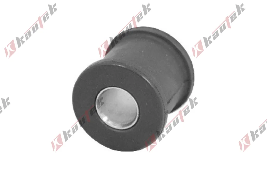 SALINCAK DENGE KOL BURCU, ARKA