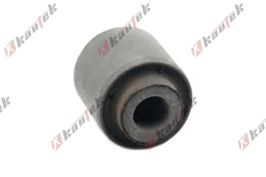 SALINCAK BURCU, ARKA ALT