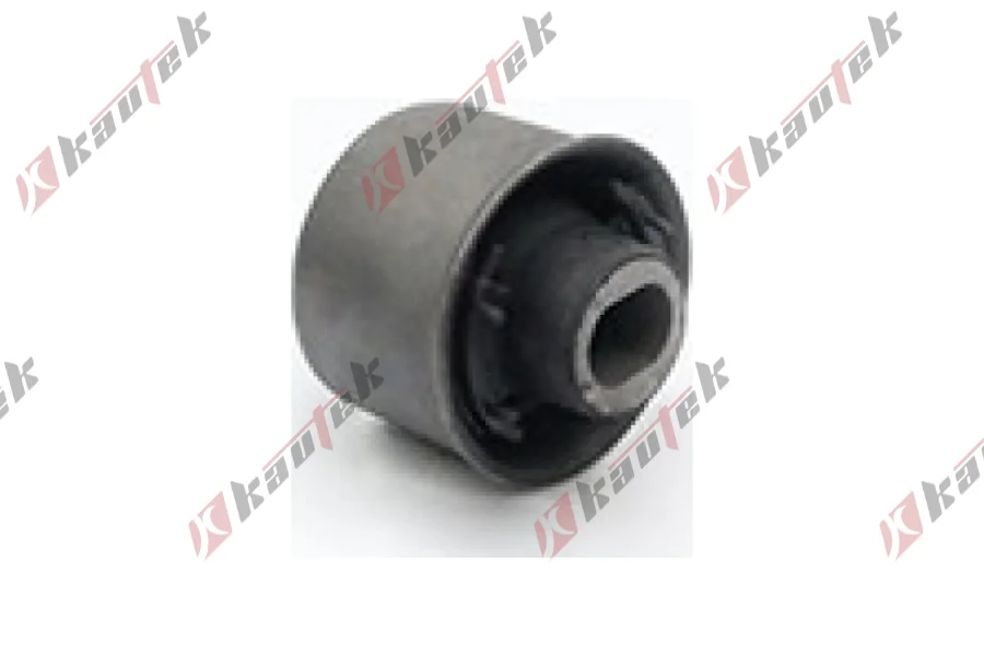 SALINCAK BURCU, BUYUK