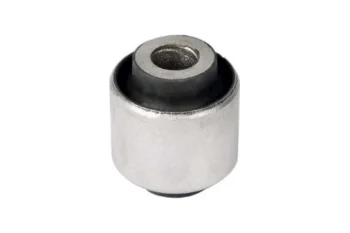 SALINCAK BURCU, ARKA ALT SOL