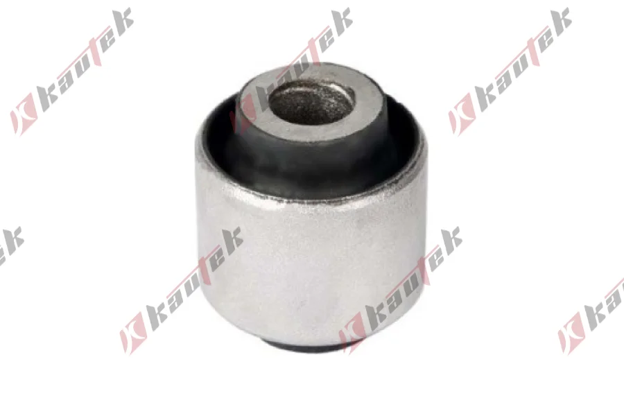 SALINCAK BURCU, ARKA ALT SOL