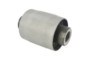 SALINCAK DENGE KOL BURCU, ARKA,ALT