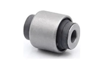 SALINCAK DENGE KL BURCU, ARKA