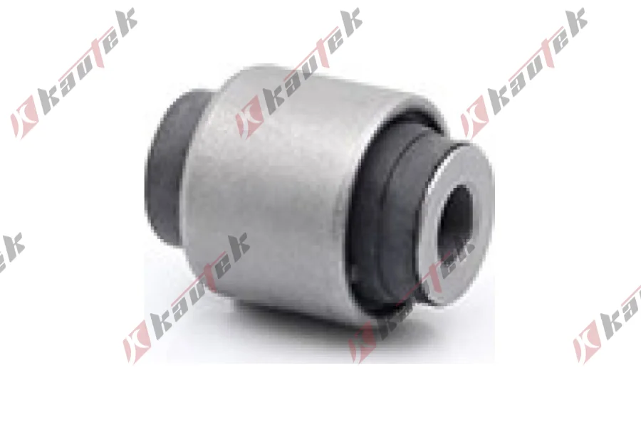 SALINCAK DENGE KL BURCU, ARKA