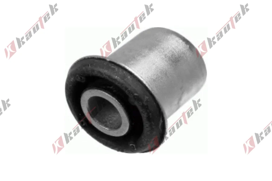 SALINCAK DENGE KOL BURCU, ARKA