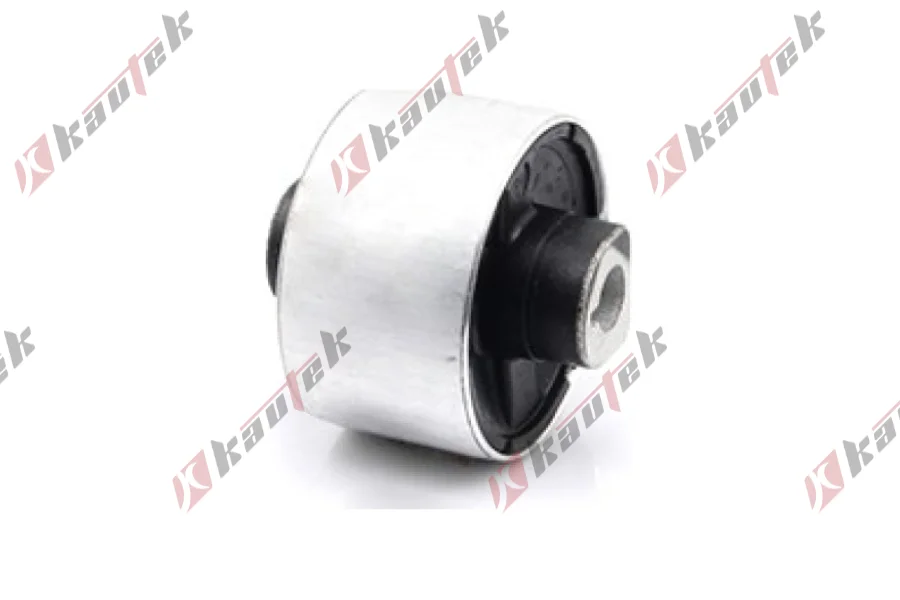 SALINCAK - DENGE KOL BURCU, ARKA