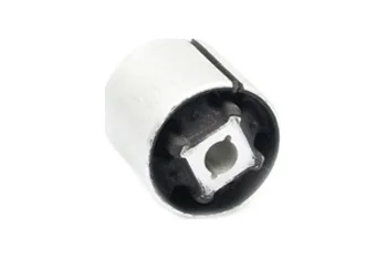 SALINCAK BURCU, ARKA