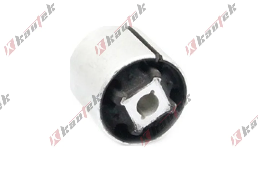 SALINCAK BURCU, ARKA