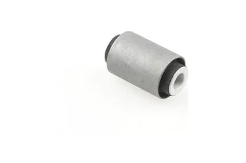 SALINCAK BURCU, IC ARKA