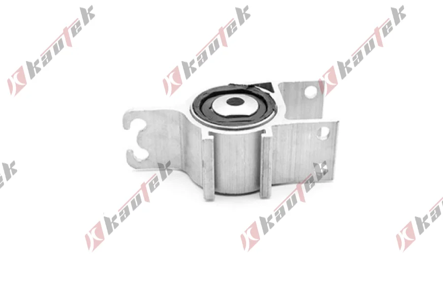 SALINCAK BURCU, ON SOL