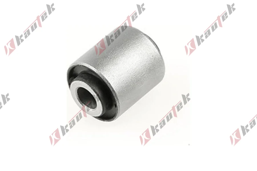 SALINCAK BURCU, ARKA ALT