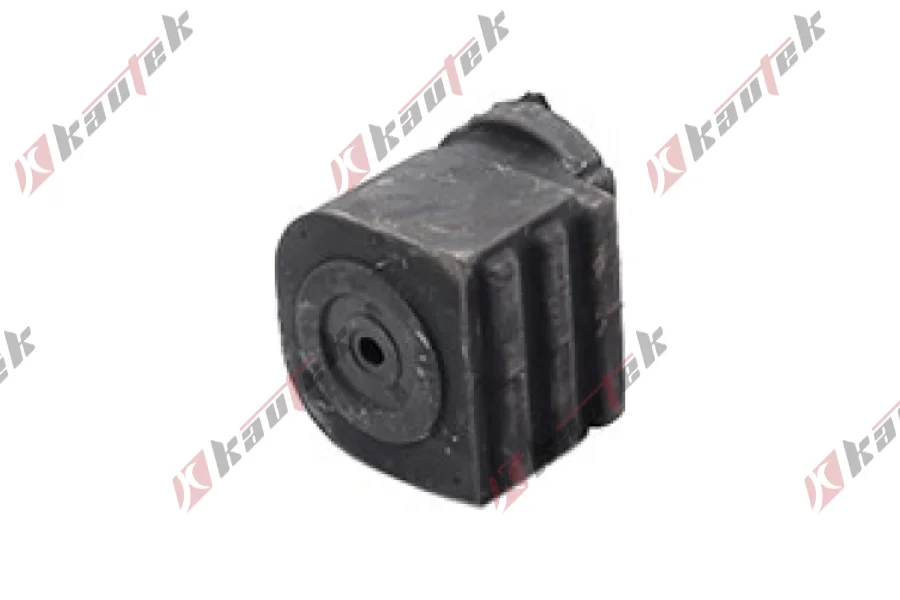 SALINCAK BURCU BUYUK