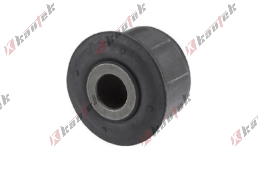 SALINCAK-/DENGE KOLU BURCU, ON