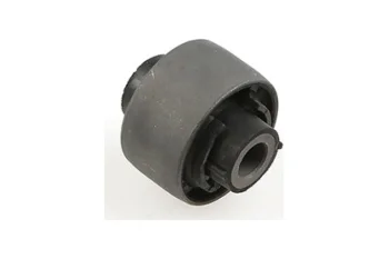 SALINCAK BURCU BUYUK