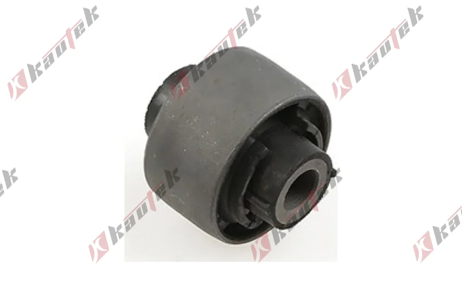 SALINCAK BURCU BUYUK