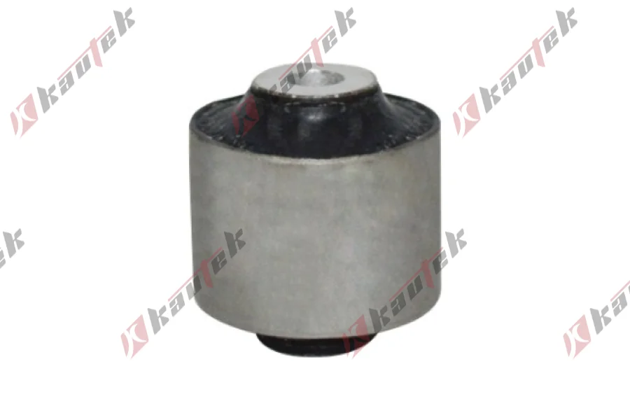 SALINCAK BURCU ALT SOL ARKA