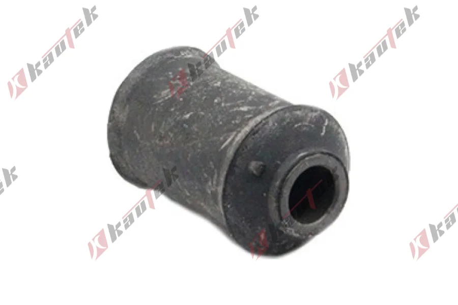 SALINCAK BURCU BUYUK