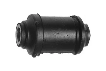 SALINCAK BURCU ORTA KUCUK