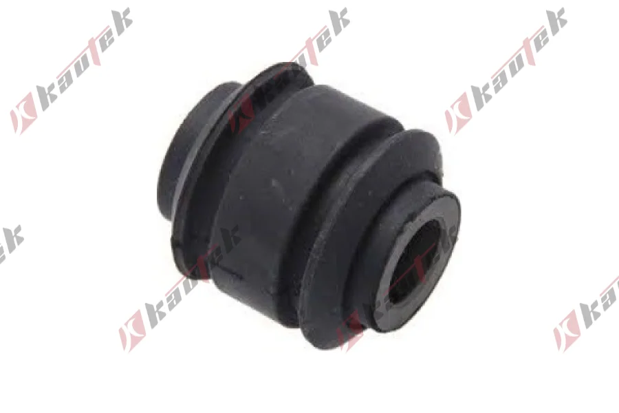 SALINCAK DENGE KOL BURCU, ALT ARKA