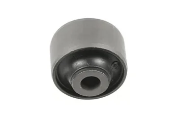 SALINCAK BURCU, KUCUK