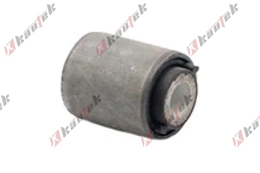 SALINCAK DENGE KOL BURCU, ARKA