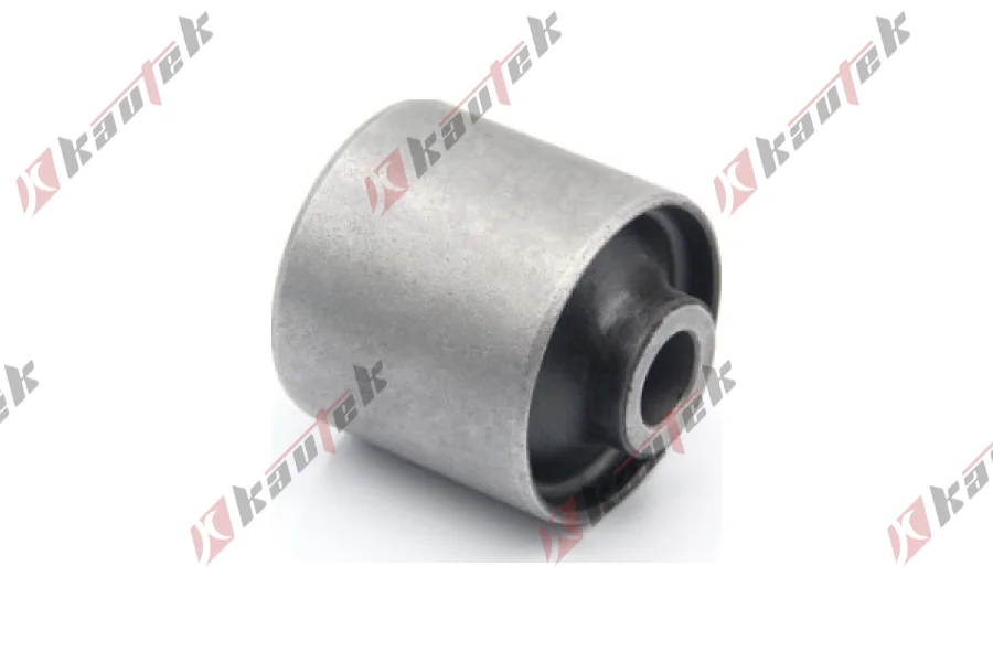 SALINCAK DENGE KOL BURCU, ARKA