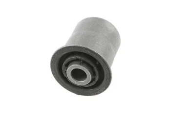 SALINCAK BURCU, IC KUCUK