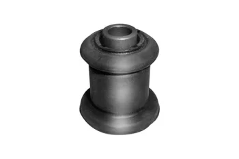 SALINCAK BURCU ORTA KUCUK