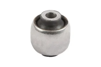 SALINCAK - DENGE KOLU BURCU, ARKA