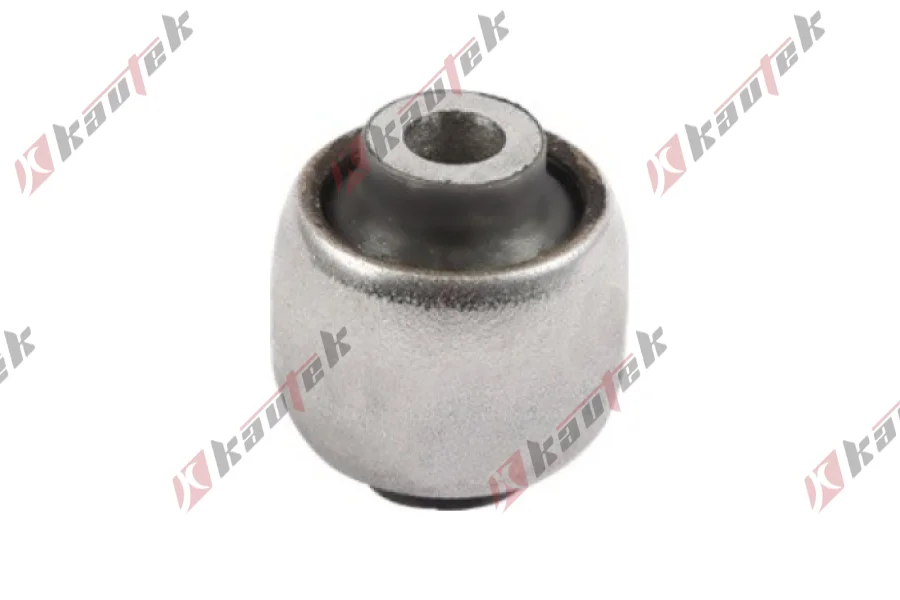 SALINCAK - DENGE KOLU BURCU, ARKA