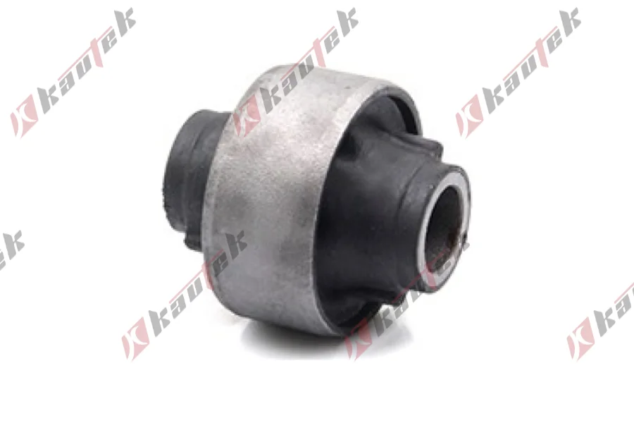 SALINCAK BURCU BUYUK ARKA