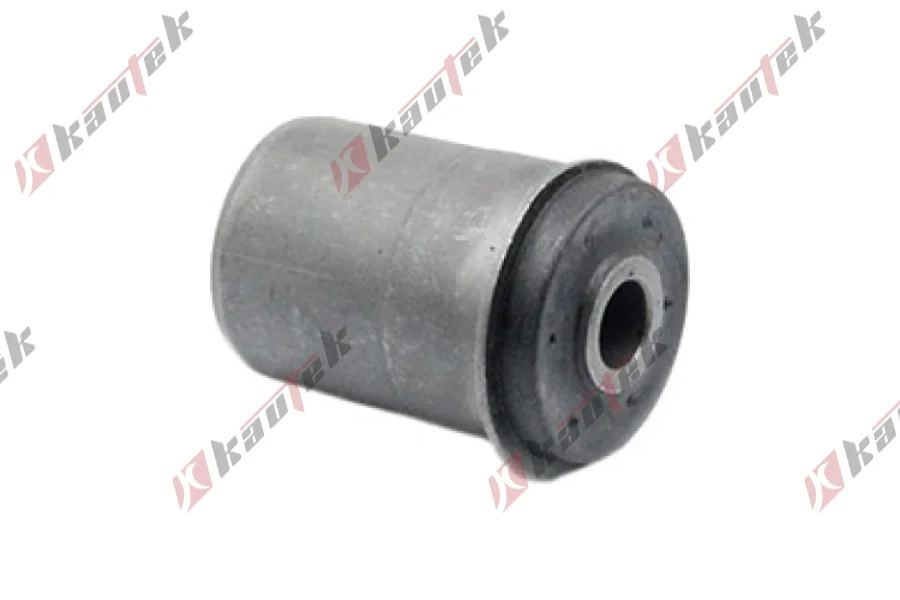 DENGE KOL BURCU, ARKA