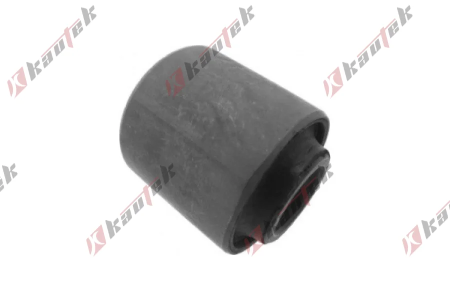 SALINCAK DENGEL KOL BURCU, ARKA