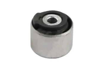 SALINCAK DENGE KOL BURCU, ARKA SAG