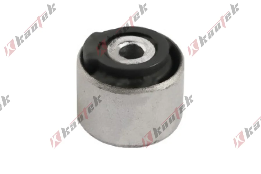 SALINCAK DENGE KOL BURCU, ARKA SAG