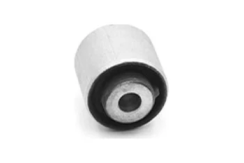 SALINCAK DENGE KOL BURCU, ARKA UST