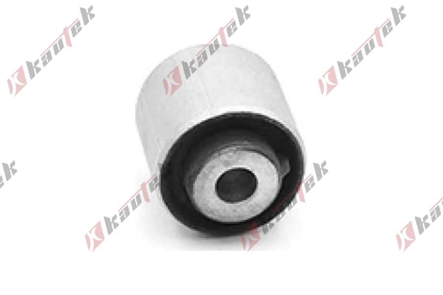 SALINCAK DENGE KOL BURCU, ARKA UST