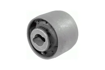 SALINCAK BURCU ARKA BUYUK