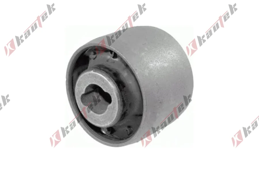 SALINCAK BURCU ARKA BUYUK