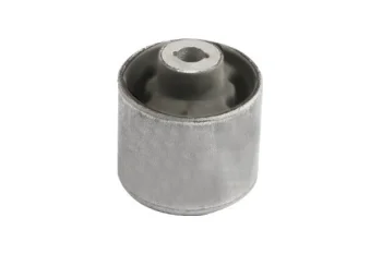 SALINCAK DENGE KOL BURCU BUYUK, ARKA