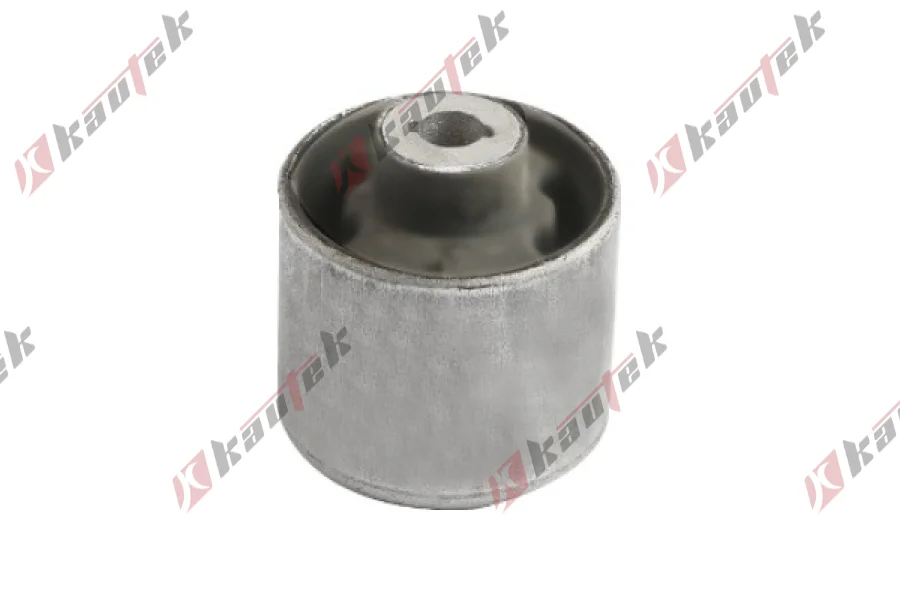 SALINCAK DENGE KOL BURCU BUYUK, ARKA