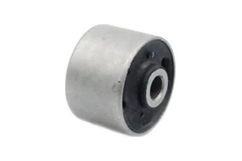 SALINCAK DENGE KOLU BURCU, ARKA