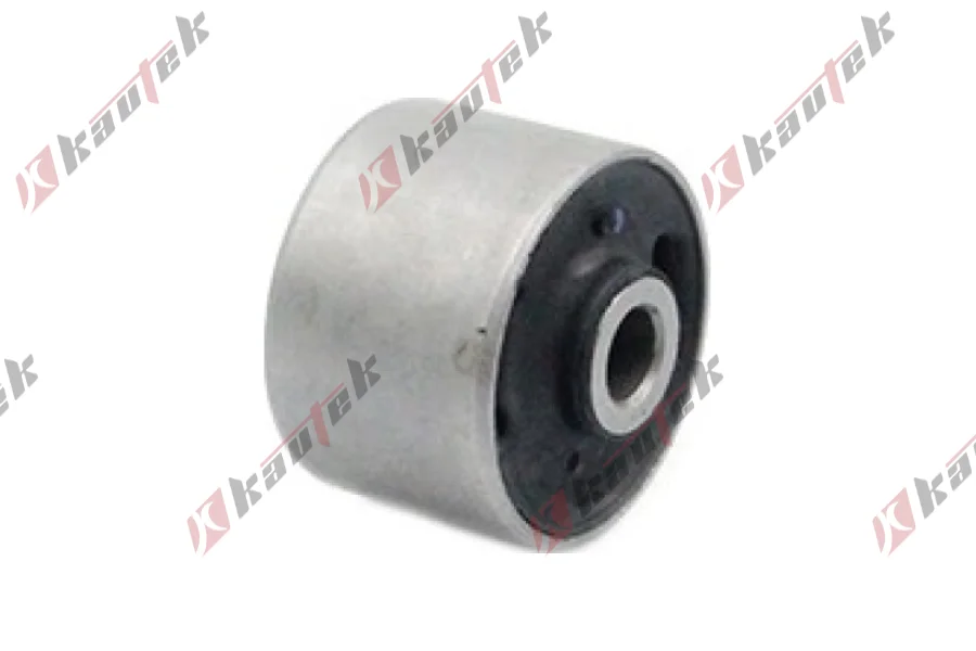 SALINCAK DENGE KOLU BURCU, ARKA