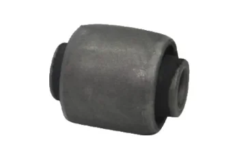 SALINCAK BURCU, ARKA