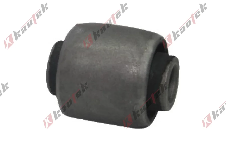 SALINCAK BURCU, ARKA