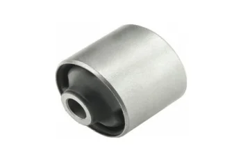 SALINCAK DENGE KOL BURCU, ARKA