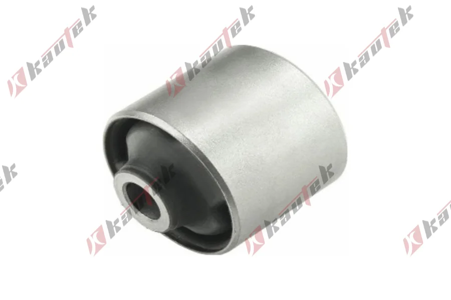 SALINCAK DENGE KOL BURCU, ARKA