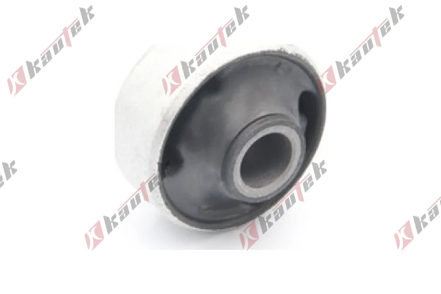 SALINCAK BURCU BUYUK