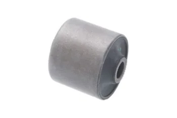 SALINCAK DENGE KOL BURCU, ARKA